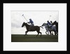 Polo game by Anonymous