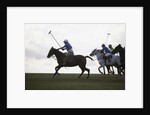 Polo game by Anonymous