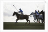 Polo game by Anonymous