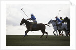 Polo game by Anonymous