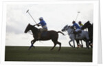 Polo game by Anonymous