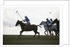 Polo game by Anonymous