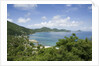 Carrot Bay, Tortola, British Virgin Islands by Anonymous
