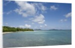 Beach at Well Bay, Beef Island, Tortola, British Virgin Islands by Anonymous