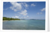 Beach at Well Bay, Beef Island, Tortola, British Virgin Islands by Anonymous