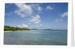 Beach at Well Bay, Beef Island, Tortola, British Virgin Islands by Anonymous