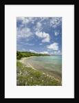Beach at Well Bay, Beef Island, Tortola, British Virgin Islands by Anonymous