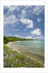 Beach at Well Bay, Beef Island, Tortola, British Virgin Islands by Anonymous