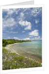 Beach at Well Bay, Beef Island, Tortola, British Virgin Islands by Anonymous