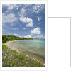 Beach at Well Bay, Beef Island, Tortola, British Virgin Islands by Anonymous