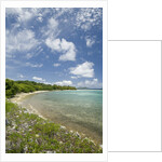 Beach at Well Bay, Beef Island, Tortola, British Virgin Islands by Anonymous