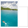 Woman Snorkeling in Hawksnest Bay at St. John Island by Anonymous