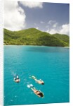 Snorkeling in Hawksnest Bay at St. John Island by Anonymous
