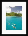 Snorkeling in Hawksnest Bay at St. John Island by Anonymous