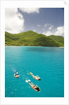 Snorkeling in Hawksnest Bay at St. John Island by Anonymous
