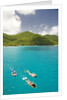 Snorkeling in Hawksnest Bay at St. John Island by Anonymous