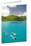 Snorkeling in Hawksnest Bay at St. John Island by Anonymous