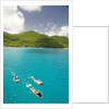 Snorkeling in Hawksnest Bay at St. John Island by Anonymous