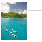 Snorkeling in Hawksnest Bay at St. John Island by Anonymous