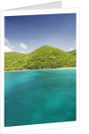 Hawksnest Bay by Anonymous