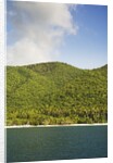 Cinnamon Bay by Anonymous