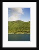 Cinnamon Bay by Anonymous