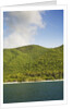 Cinnamon Bay by Anonymous