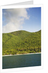 Cinnamon Bay by Anonymous