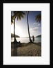 Woman Standing on Beach on Maho Bay by Anonymous