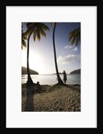 Woman Standing on Beach on Maho Bay by Anonymous