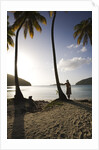 Woman Standing on Beach on Maho Bay by Anonymous