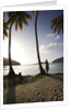 Woman Standing on Beach on Maho Bay by Anonymous