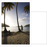 Woman Standing on Beach on Maho Bay by Anonymous