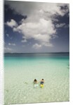 Couple Snorkeling in Cinnamon Bay at St. John Island by Anonymous