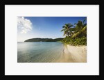 Maho Bay Beach by Anonymous