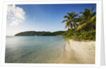 Maho Bay Beach by Anonymous