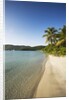Beach on Maho Bay by Anonymous