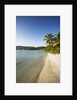 Beach on Maho Bay by Anonymous