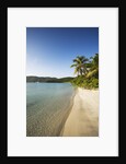 Beach on Maho Bay by Anonymous