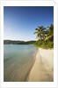 Beach on Maho Bay by Anonymous
