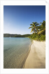 Beach on Maho Bay by Anonymous
