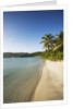 Beach on Maho Bay by Anonymous