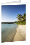 Beach on Maho Bay by Anonymous