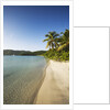 Beach on Maho Bay by Anonymous
