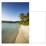 Beach on Maho Bay by Anonymous
