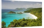 Trunk Bay at St. John Island in U. S. Virgin Islands by Anonymous