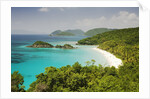 Trunk Bay at St. John Island in U. S. Virgin Islands by Anonymous