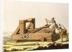 Print of Roman Onager by Anonymous