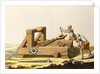 Print of Roman Onager by Anonymous