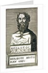 Portrait of Herodotus by Andre Thevet